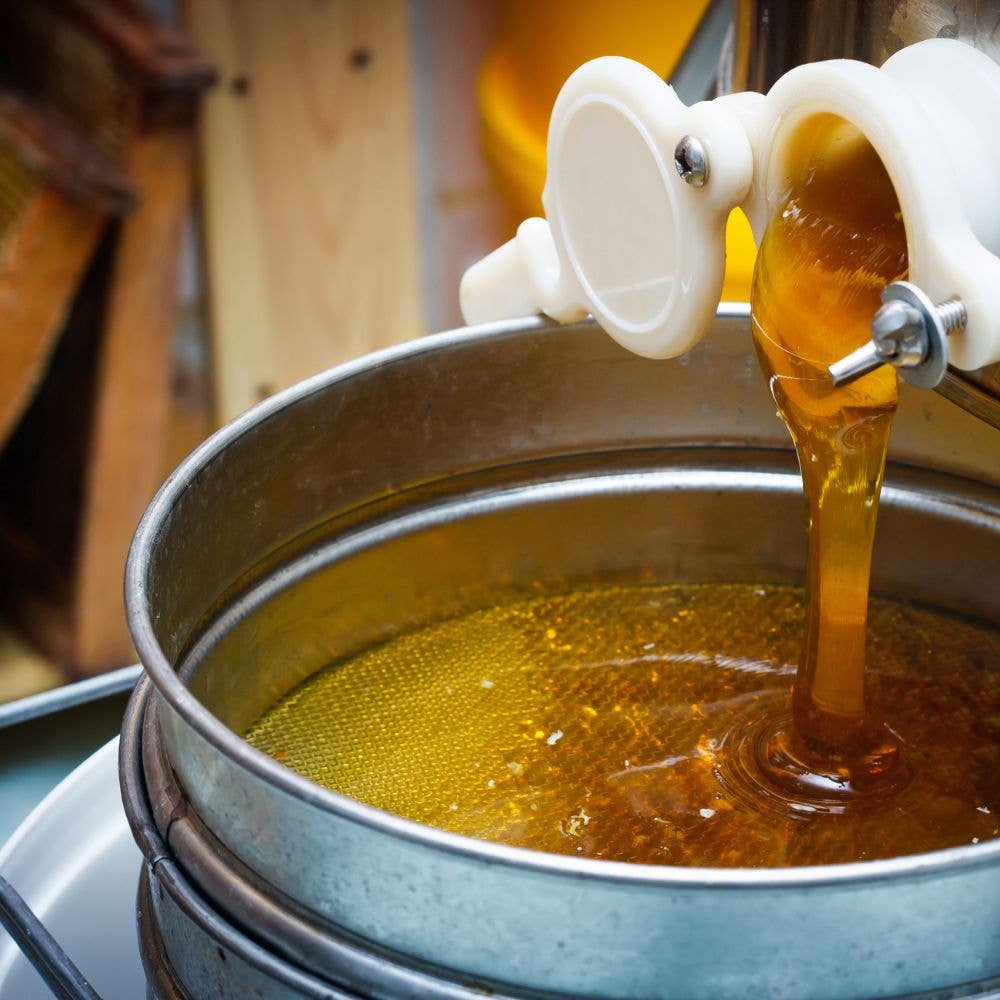 L'ABELLA MIEL - Venta al por mayor Miel - L'Abellamel Jarra De Barro De 150G1