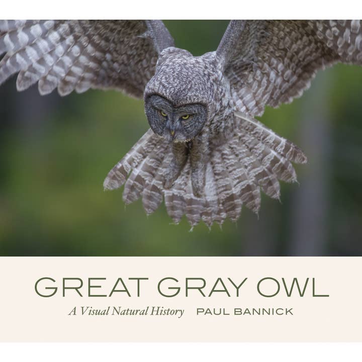 Great Gray Owl: A Visual Natural History for wholesale by Mountaineers Books