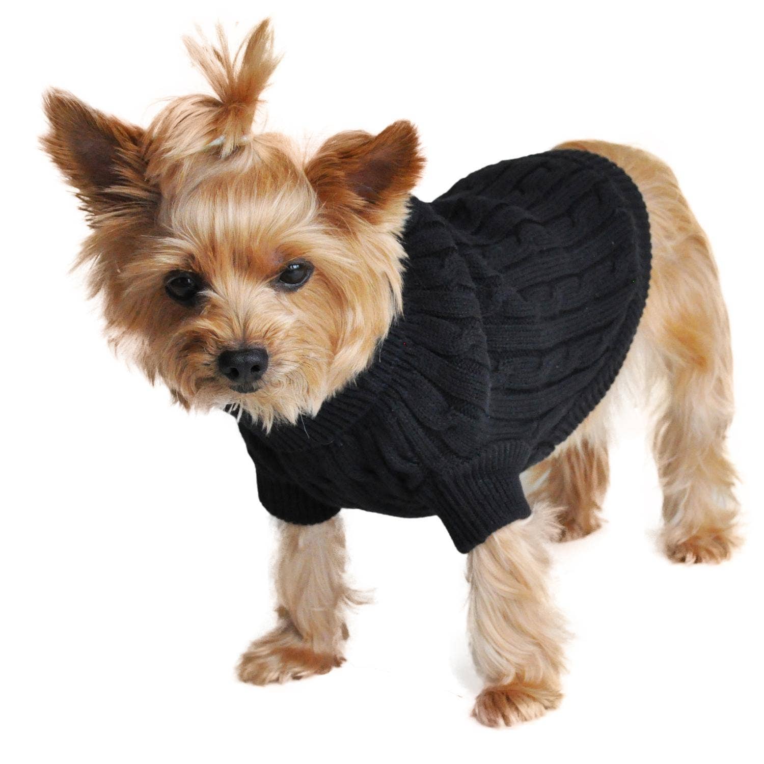 Doggie Design - Wholesale Pet Sweater - Dog - Combed Cotton Cable Knit Dog Sweater - Jet Black1