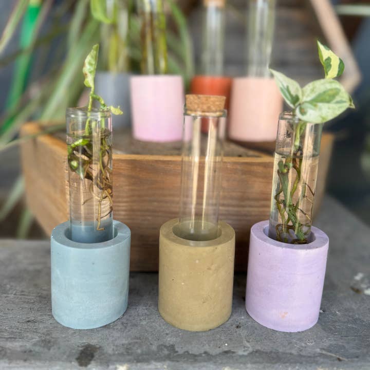 Good Girl Market - Wholesale Vase - Concrete Propagation Station