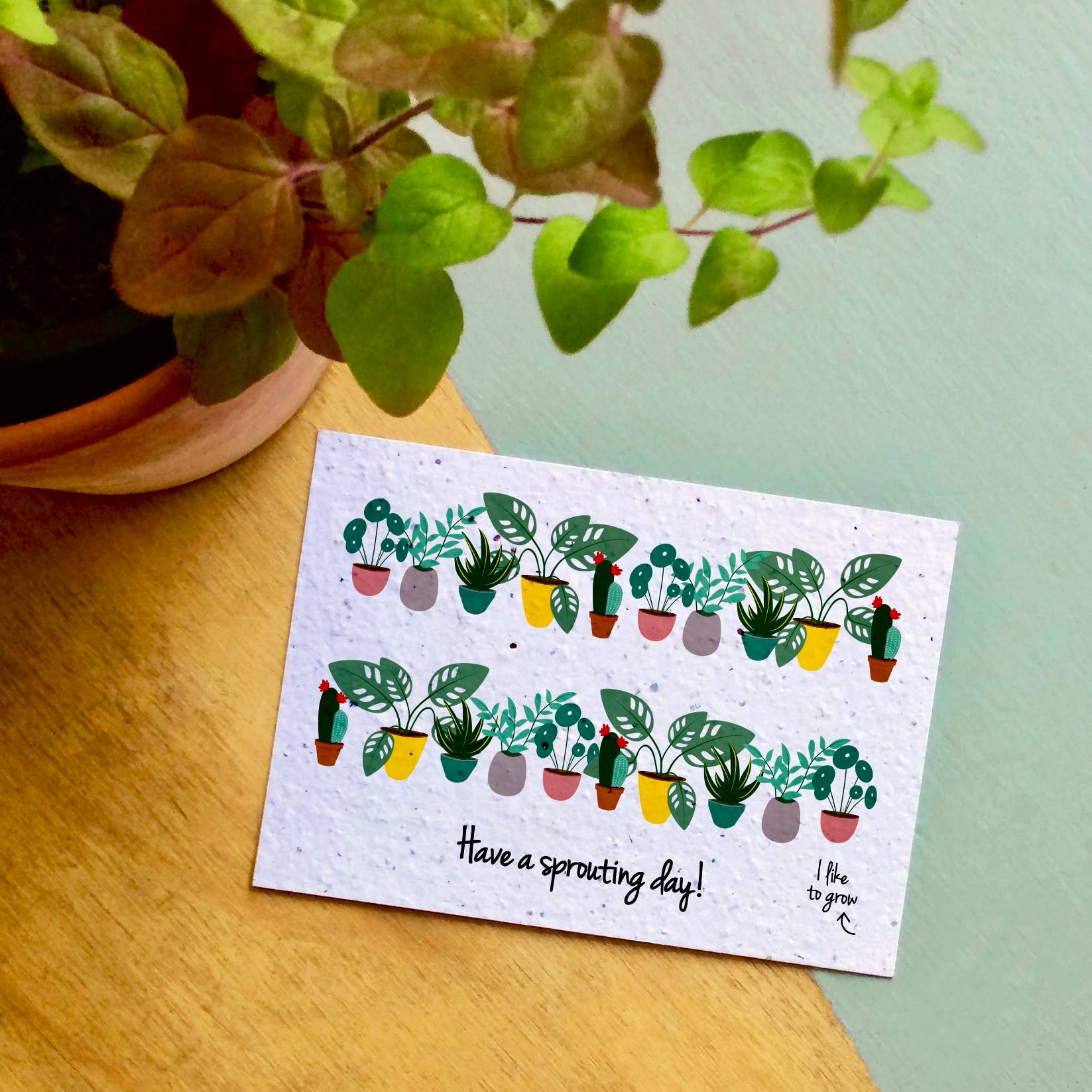 BLOOM your message - Vendita all'ingrosso Semi di piante - Set di 60 cartoline piantabili con semi di fiori selvatici6