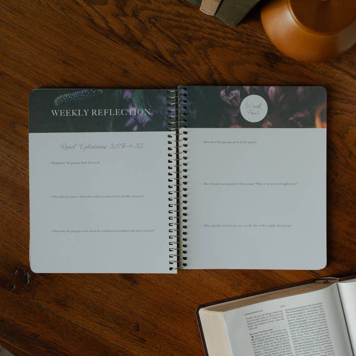 The Daily Grace Co - Wholesale Religion - Chosen | Ephesians Study4