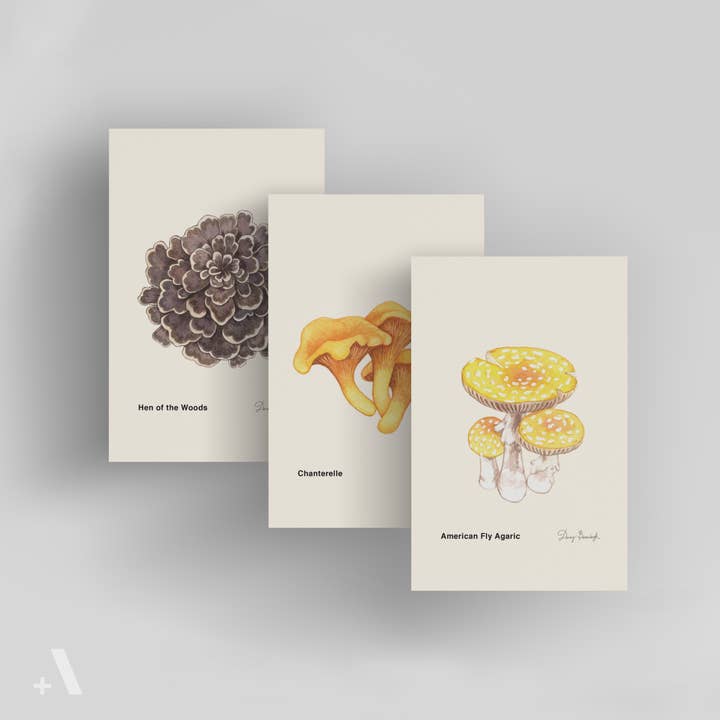 Mushrooms of Pennsylvania / Small Art Prints for wholesale by Addvent