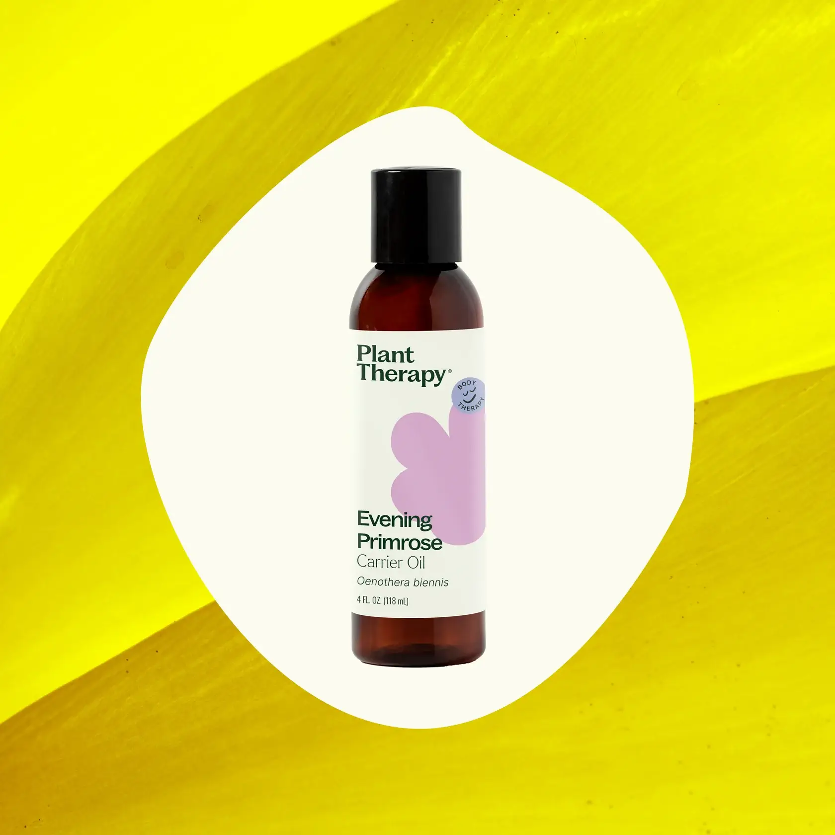 Plant Therapy – wholesale Bath/body oil – Evening Primrose Carrier Oil 4 oz1
