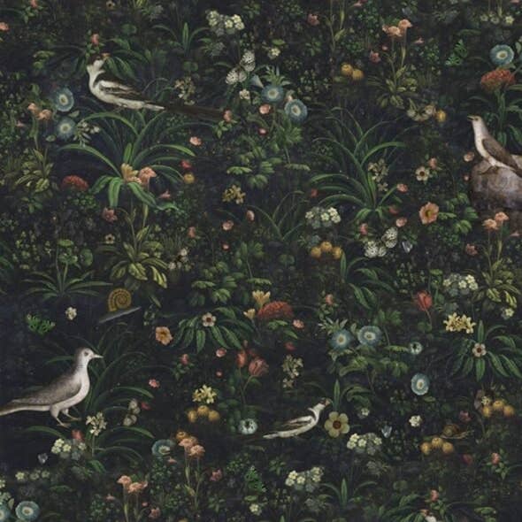 250 STELLA BIANCA VÄGGBONAD för wholesale av Voglio Bene