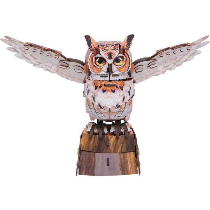 Écho du Ciel Grand-duc d'Amérique pour la vente par Makebug