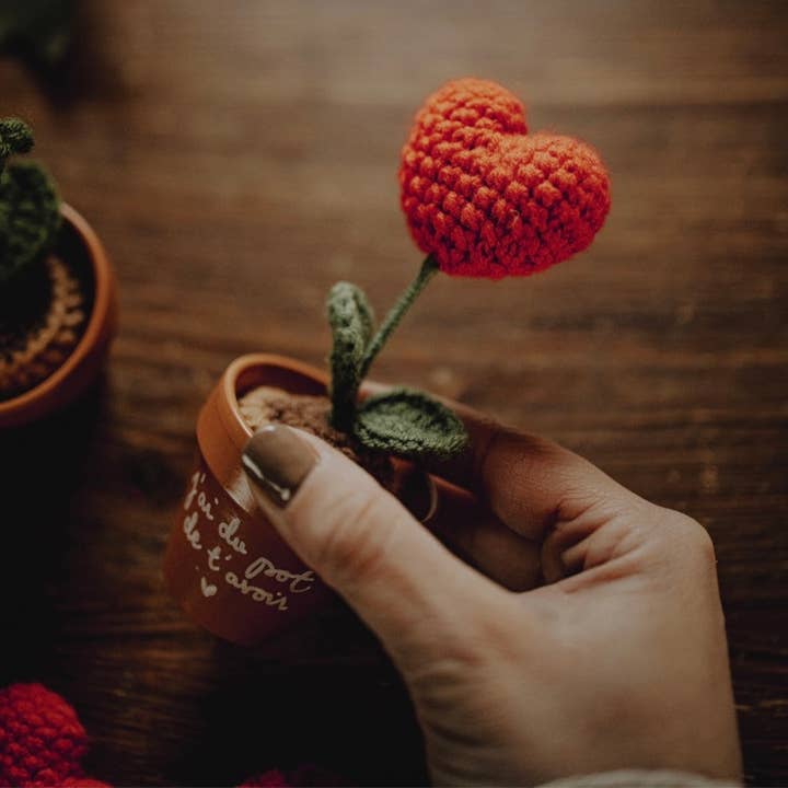 Joli Pot - Wholesale Plant Pot - Mini Pretty Flora Pot to Customize | Flower Pot + Hook2