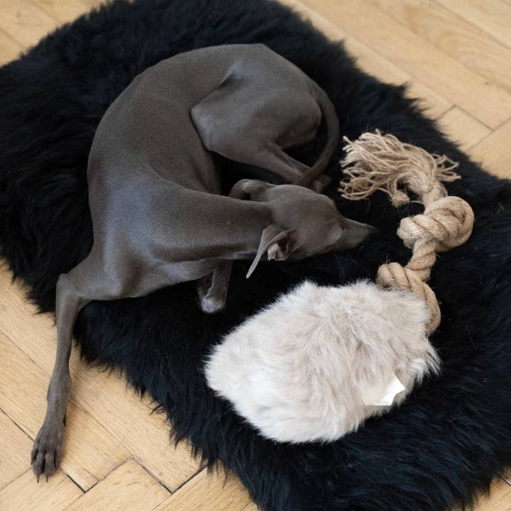 Mellow - Venta al por mayor Juguete de soga - Perros - Juguete de tira de piel natural para perros - Beige