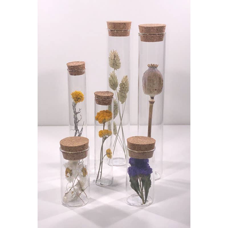 Muno – Flores secas/prensadas por atacado – Tubos de vidro de 15 cm com flores secas - Presente5