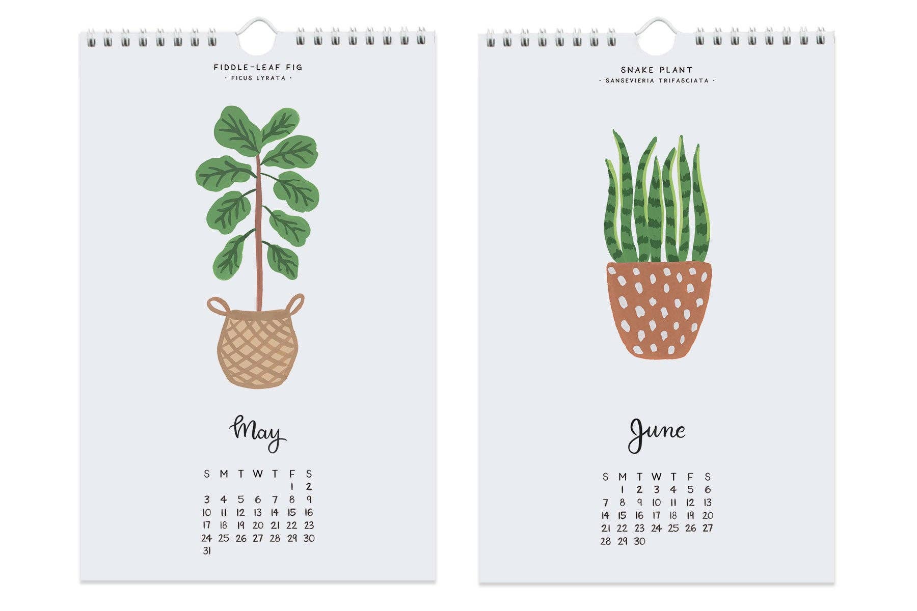 LoveLight Paper - Wholesale Calendar - House Plants - Mini Calendar 20263