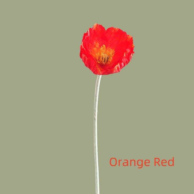 ACNITE(We cover U.S. import duties) - Vente Fleurs artificielles - Fleurs de pavot en soie grandes fleurs artificielles pour décoration de mariage2