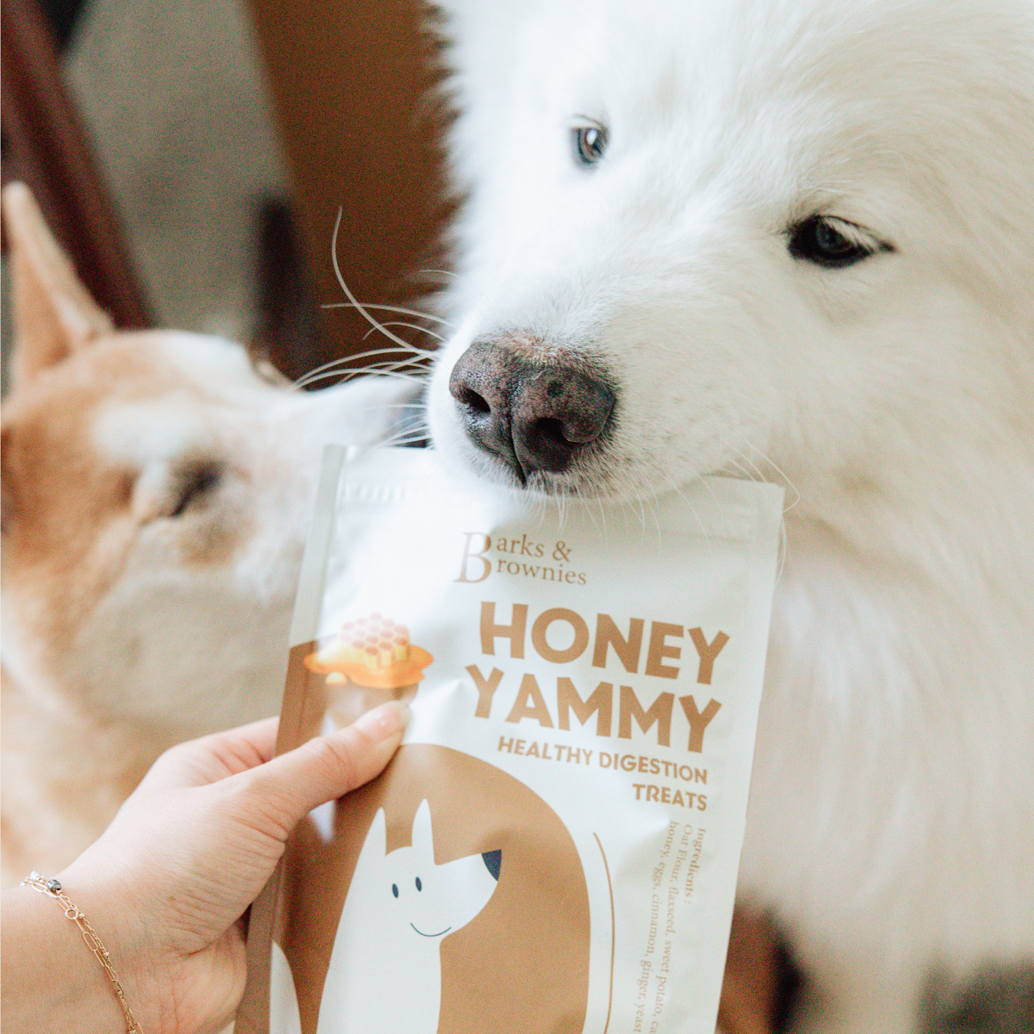 Barks and Brownies - Wholesale Pet Treats - Dog - HONEY YAMMY | Immune Boost Dog Treats8