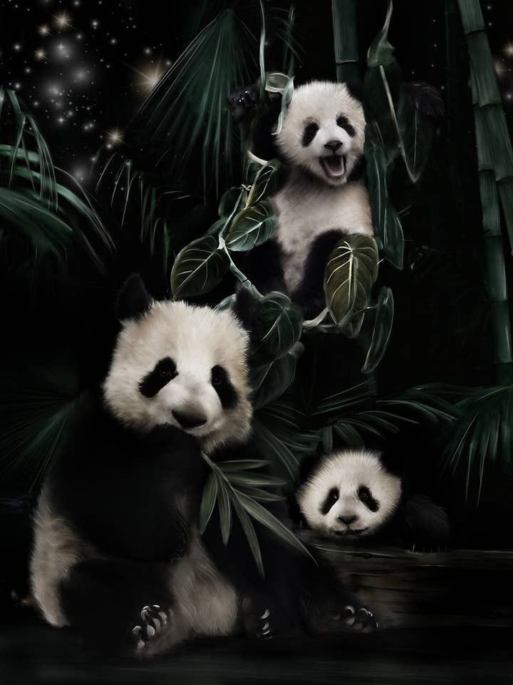 Pôster Po Panda por atacado de Linn Wold