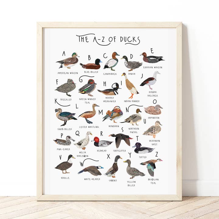Das A-Z der Ducks Drucken für den Großhandel von Bea Baranowska Illustration