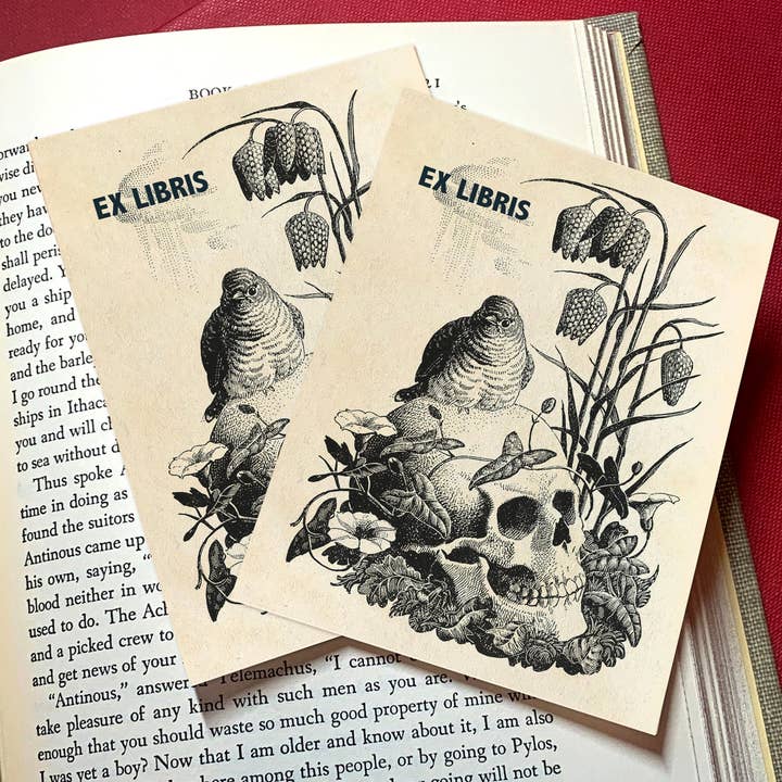 Bird and Skull, Gothic Ex-Libris Bookplates for wholesale by Ebon et Noir LLC
