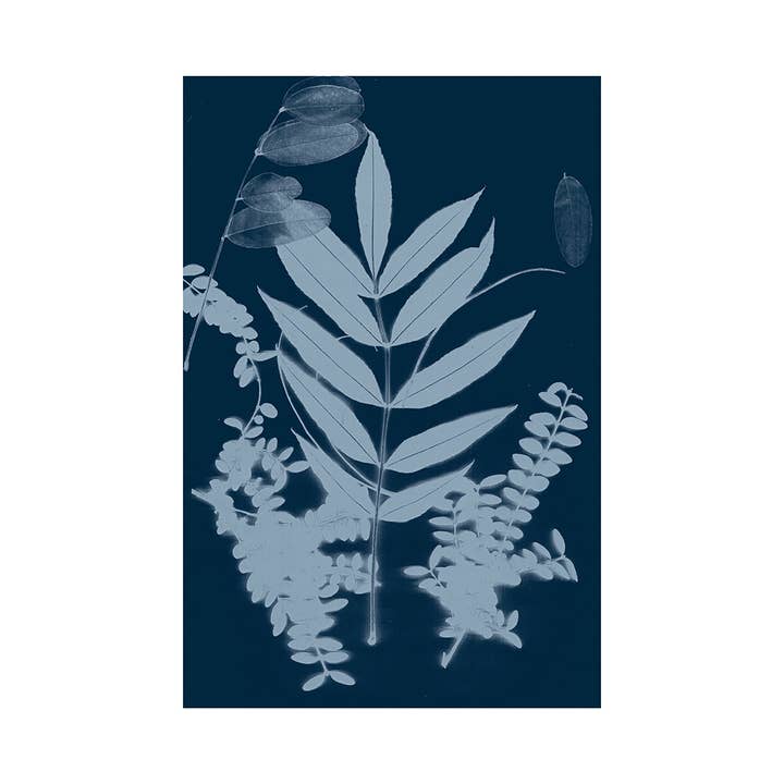 Posterprint Cyano Foliage I voor wholesale door heraldblack