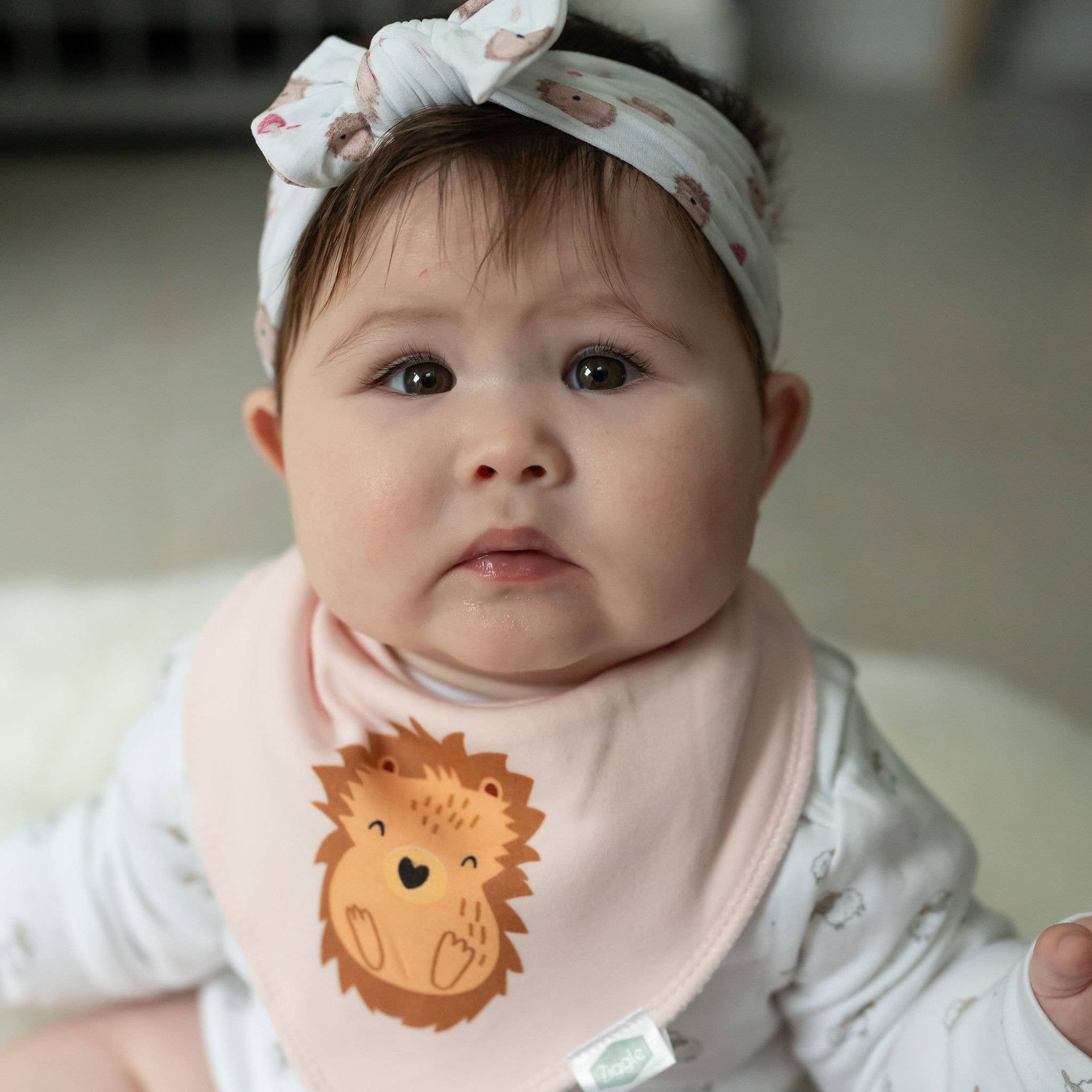 Ziggle Baby – wholesale Bib – Baby – Hedgehog bib2