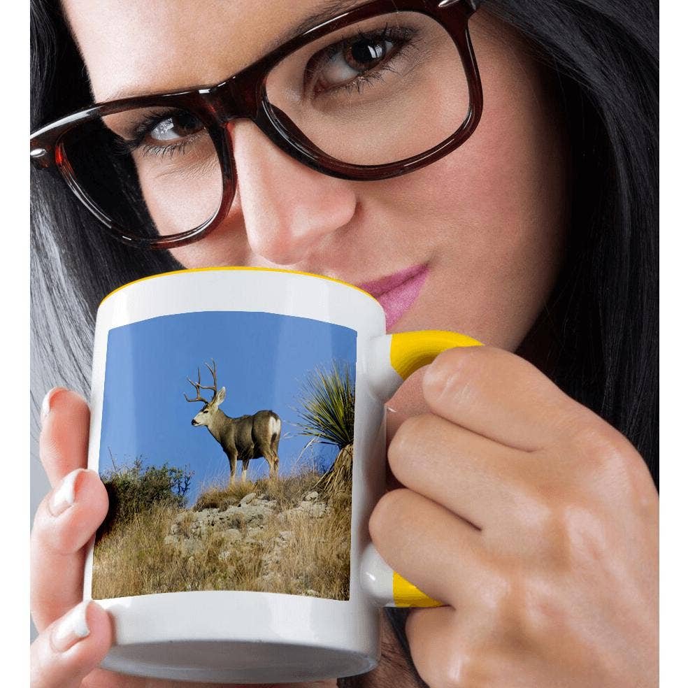 3dRose - Wholesale Coffee Mug - 3dRose, Desert Mule Deer buck in desert mountain habitat - US44 LDI0997 - Larry Ditto, Mug1