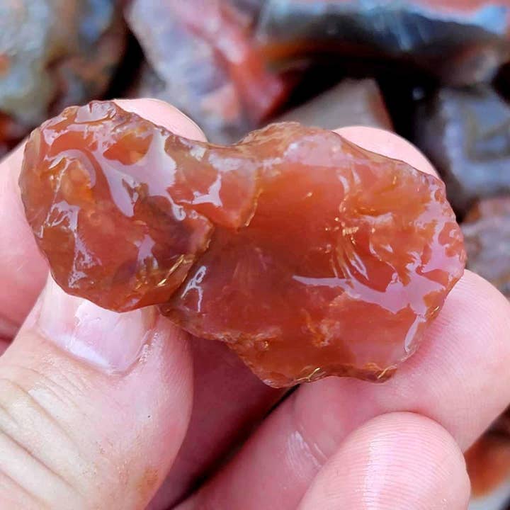 Lapidary Central - Wholesale Spiritual Stone/Crystal - Random Pull Swazi Agate Rough Chunks! Great for Tumbling! Swali Agate
