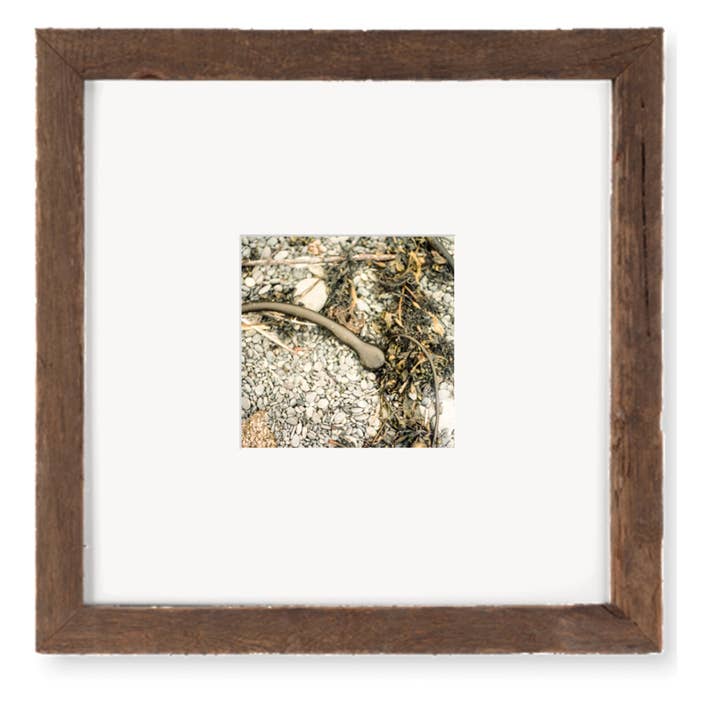 Sea on Land Rialto Beach Analogs — 10x10 Framed Print for wholesale by The Studio
