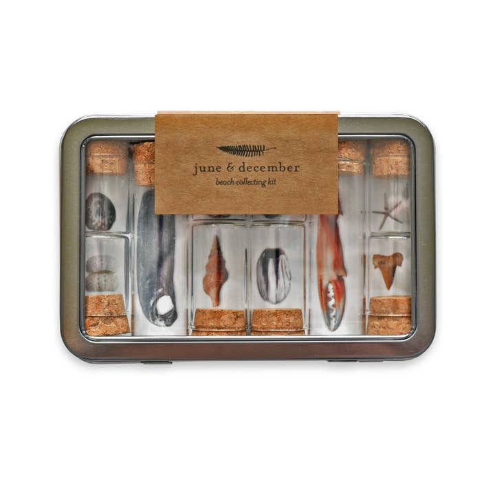 June & December - Wholesale DIY Craft Kit - Beach Collecting Kit