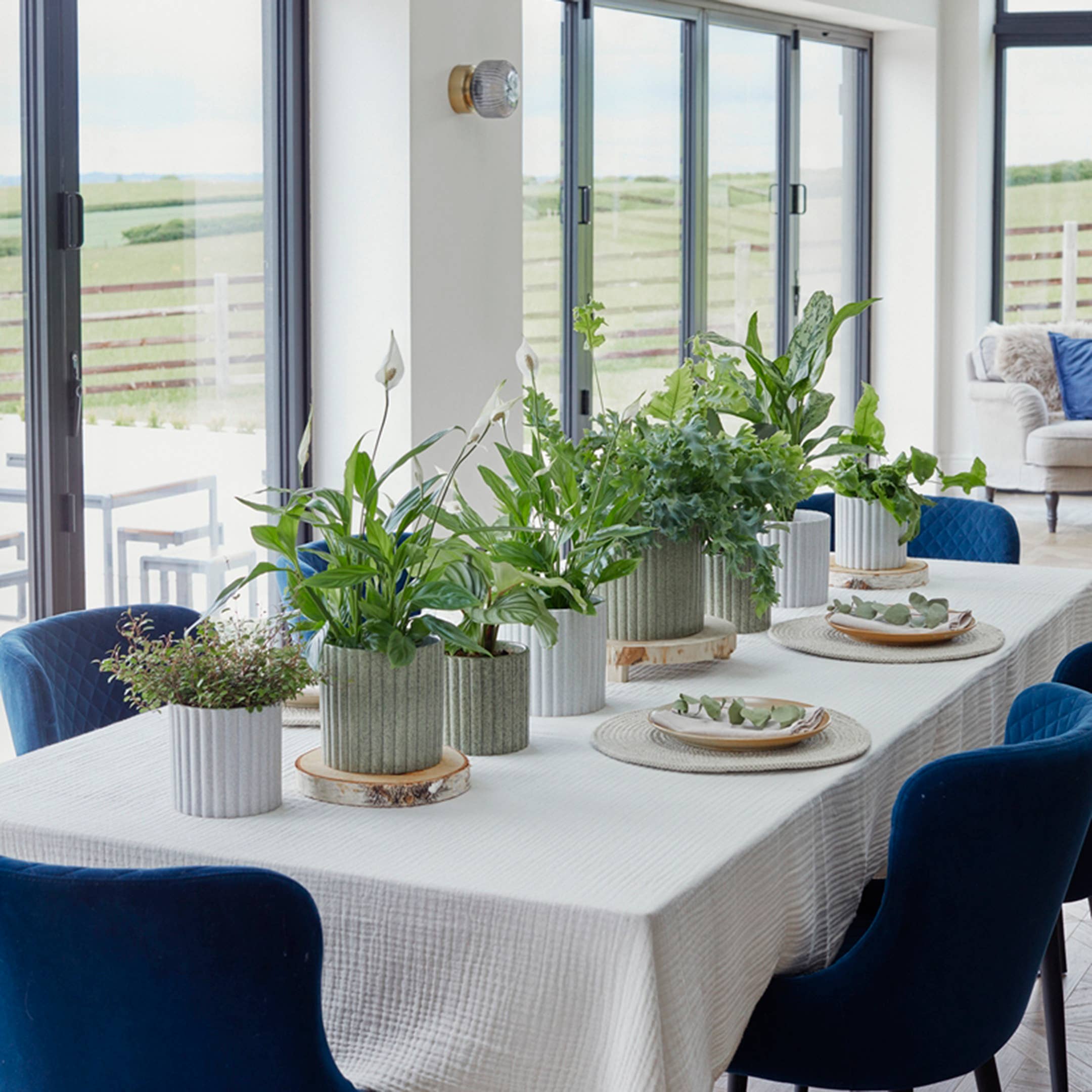 Ivyline – wholesale Indoor pot – Azalea Stone Ribbed Speckle Earthenware Indoor Planter8