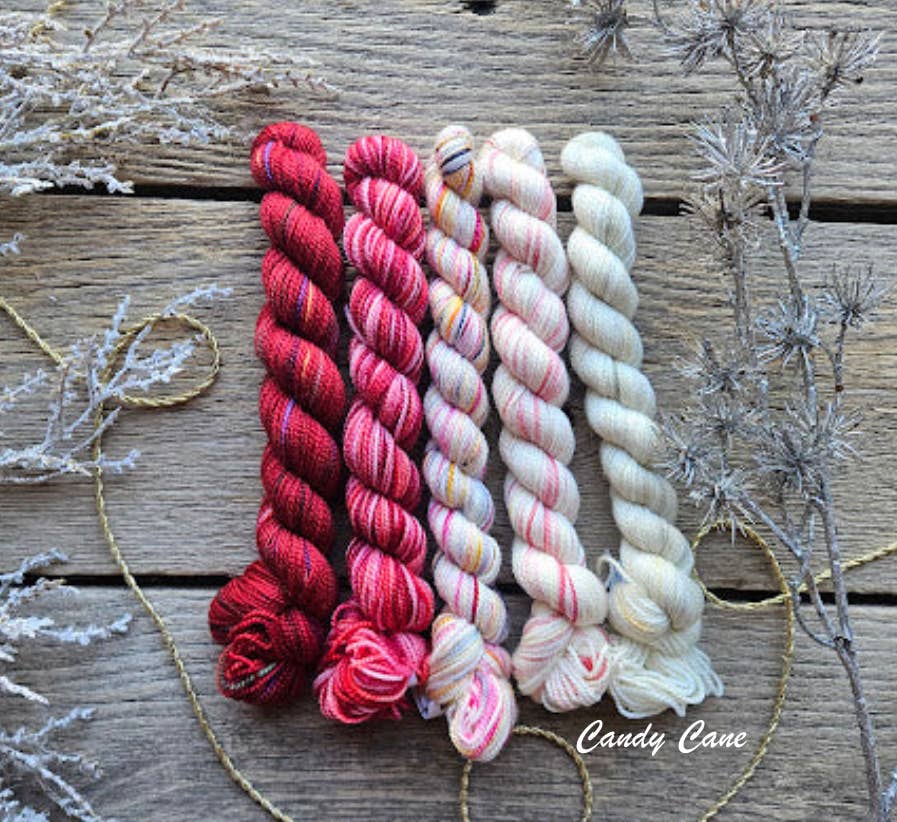 Koigu Wool Designs – wholesale Yarn – Koigu KPPPM Merino Wool Yarn - 5 Skein Paint Can17