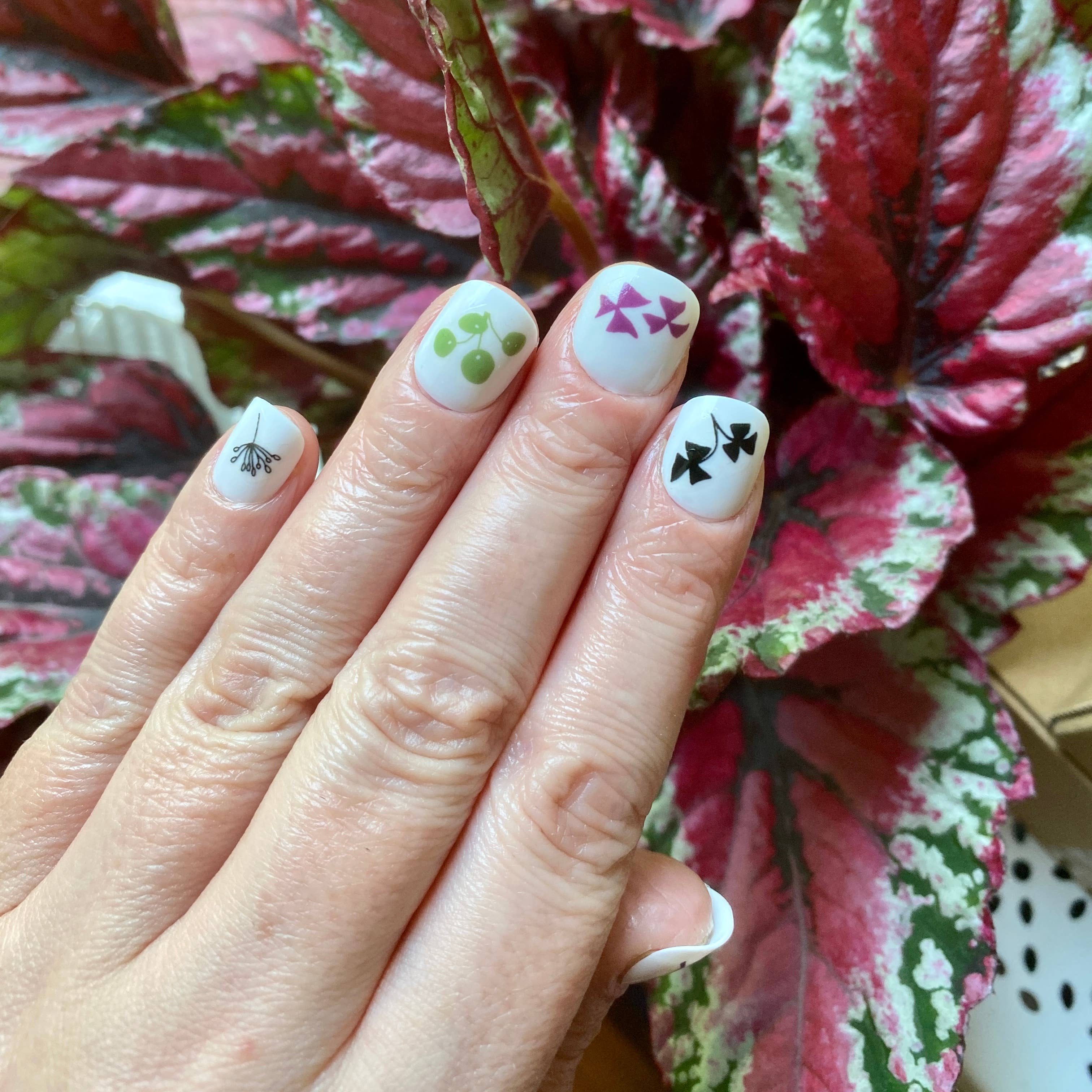 Kate Broughton - Wholesale Nail Art/Decal - Plant Nail Art Transfers6