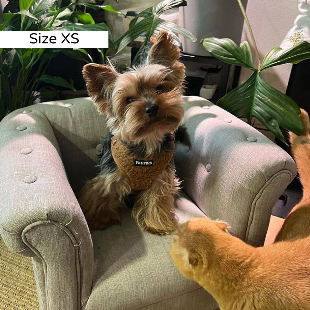 Trufois - Vendita all'ingrosso Pettorina - Cani - Imbracatura Teddy Lite - Cioccolato5
