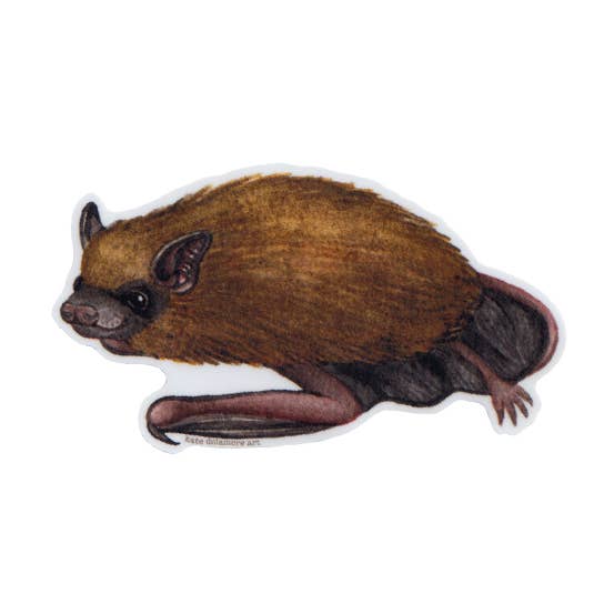 Big Brown Bat Vinyl Animal Sticker for wholesale by Kate Dolamore Art