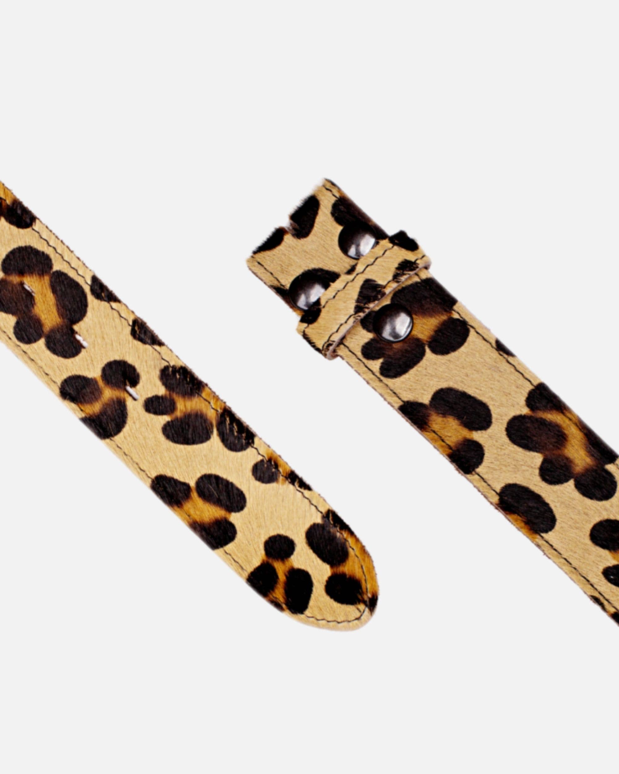 Amsterdam Heritage Leather Belts, Bags, Jackets & Apparel - Wholesale Belt - Women's - MADE TO ORDER Flavia | Cow-Hair Belt with Removable Buckle9