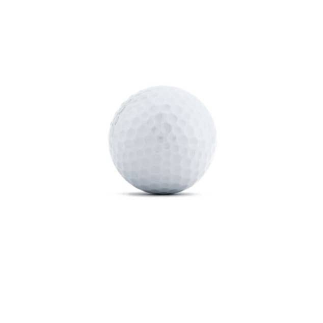 Weddingstar Inc. - Wholesale Party gift - Golf Ball Wedding Favor0