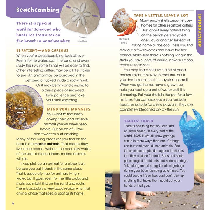 Simon & Schuster - Wholesale Book - Kids - Walk on the Beach by Laurie Goldman