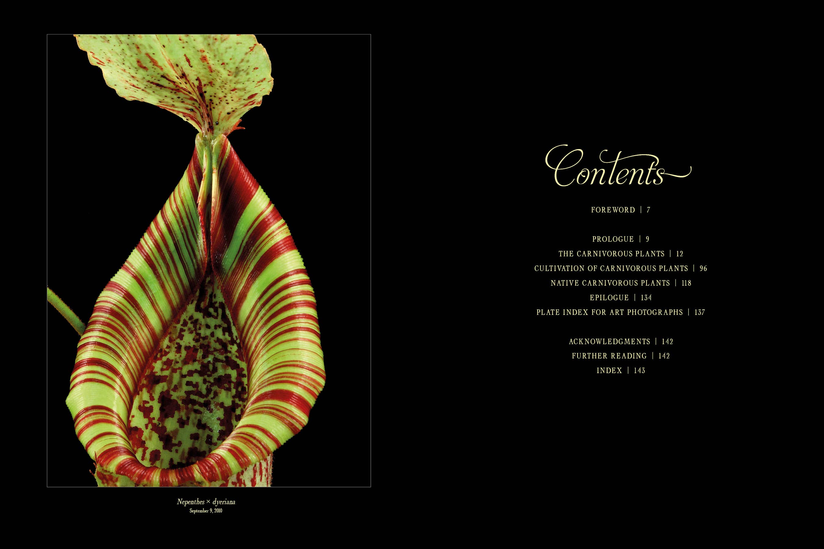 Schiffer Publishing - Venta al por mayor Nature & Outdoors - La siniestra belleza de las plantas carnívoras1