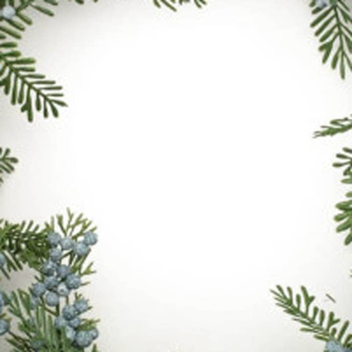 HomeRoots – wholesale Wreath – 26" Green And Brown Christmas Juniper Artificial Wreath3