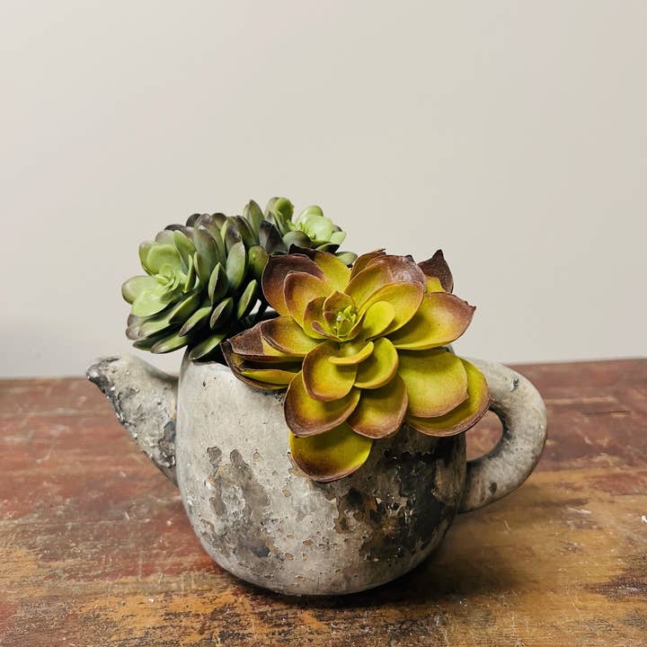 Vagabond Vintage - Wholesale Plant Pot - Cement Rustic Teapot Succulent Planter