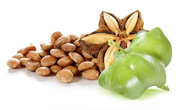 Ganesa Trading - Vente Noix - Graines de Sacha Inchi biologiques du Pérou, USDA8