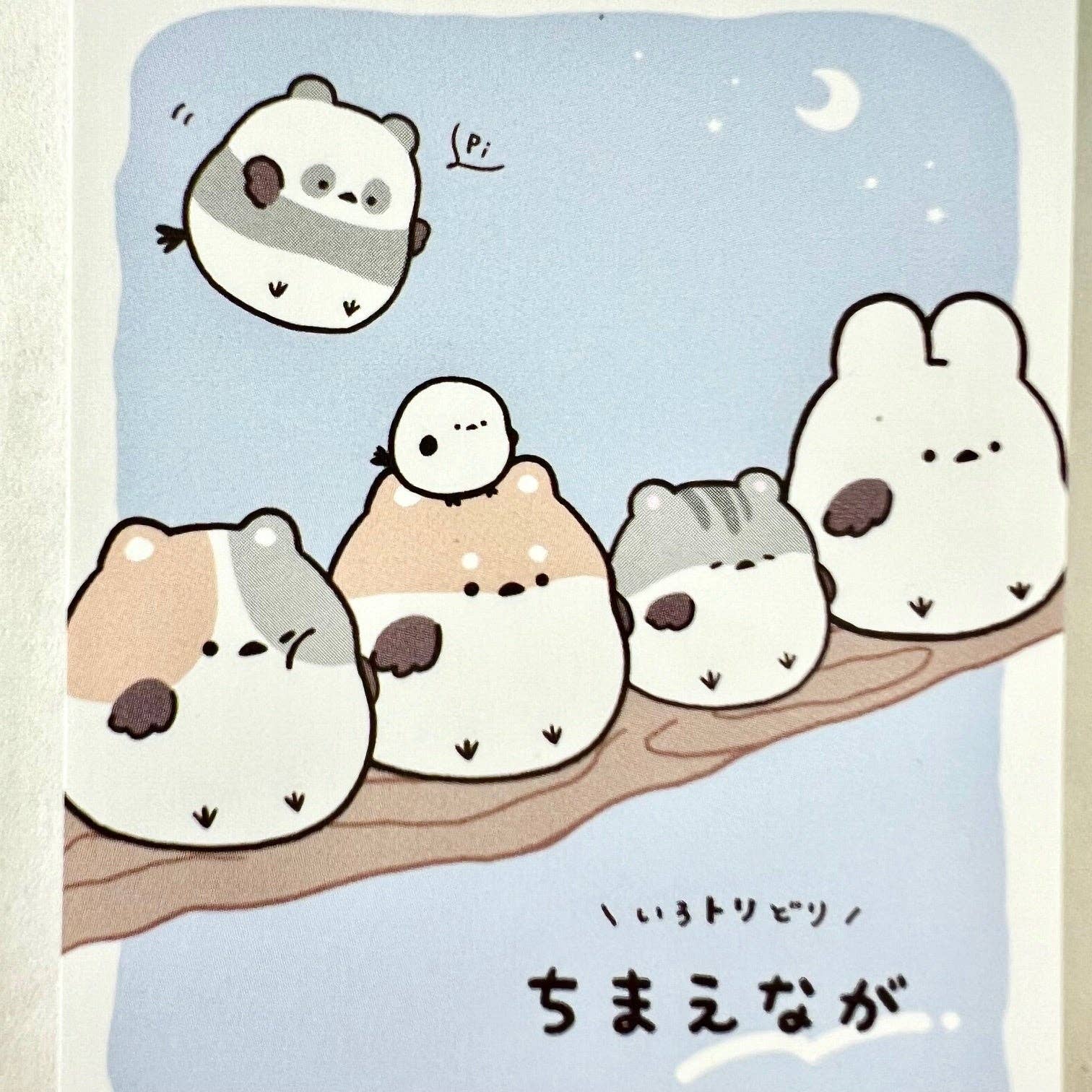 BCmini - Wholesale Notepad - 114552 Round Animal Birds Animals Mini Notepad-103