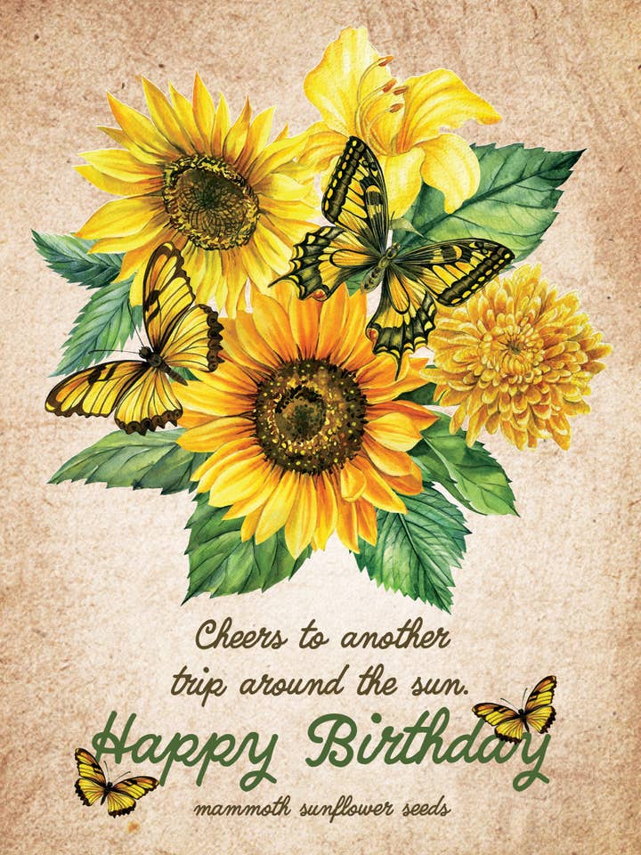 Happy Birthday - Sunflower - Mammoth Sunflower Seed Packets for wholesale by Bentley Seed Co.