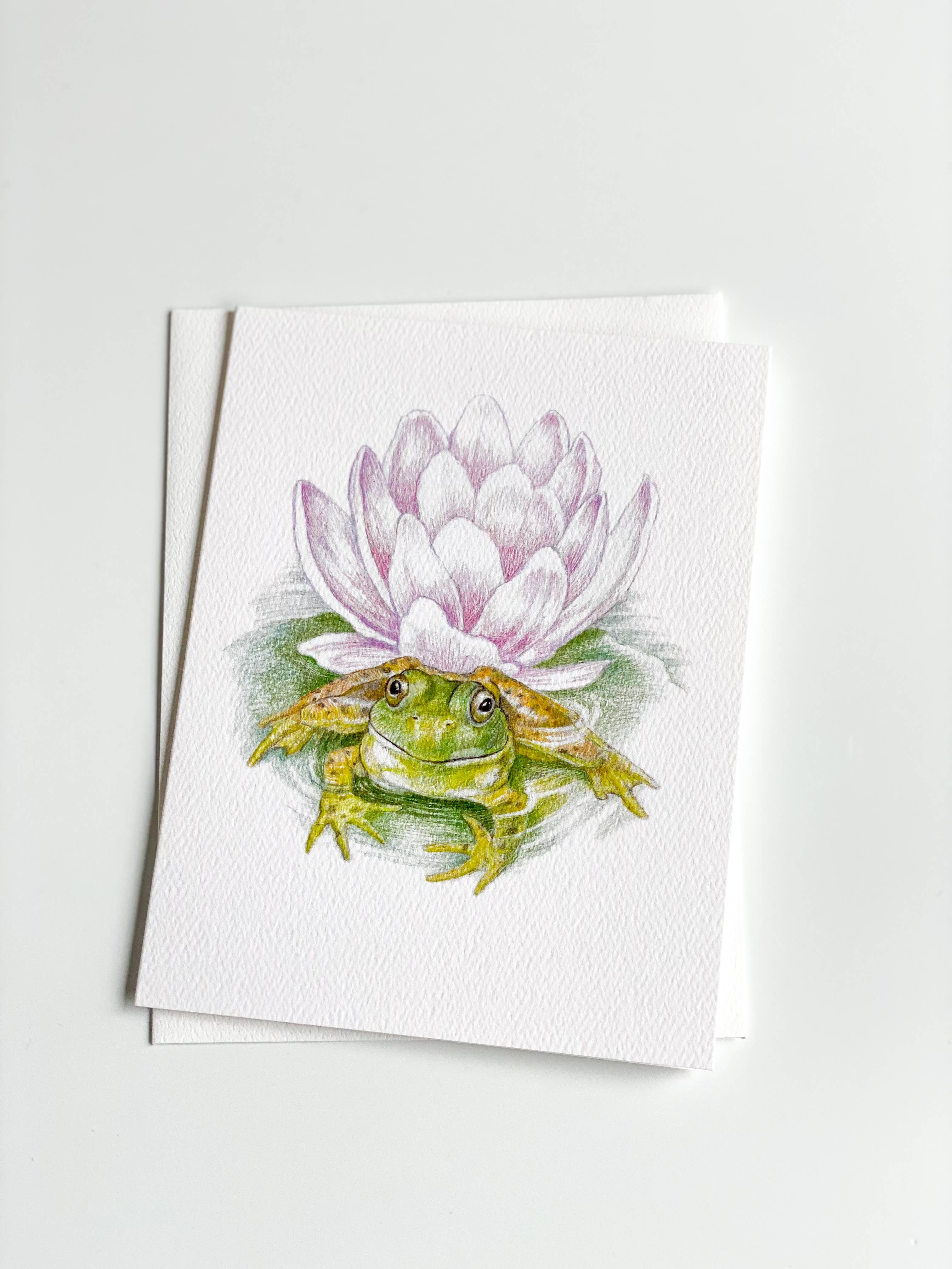 REMOVED BRAND - Wholesale Stationery/Notecard Set - Garden Frog - Boxed Set1