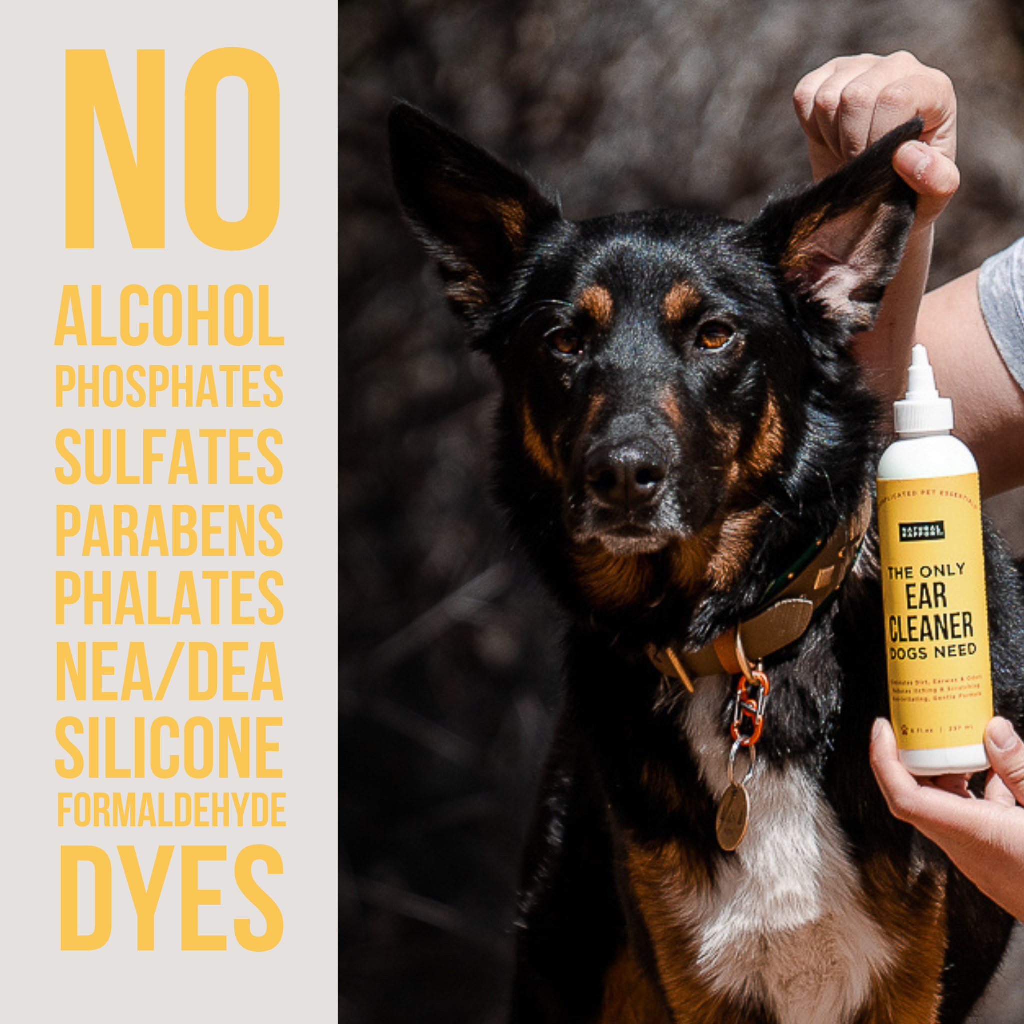 Natural Rapport - Wholesale Pet cleaning supplies - The Only Ear Cleaner Dogs Need2