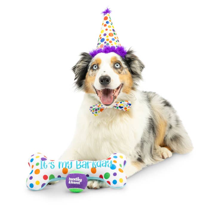 Huxley & Kent - Wholesale Pet plush toy – Dog - Happy Barkday Celebration Box2