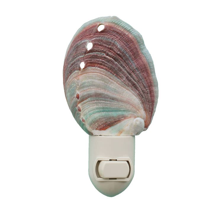 Natural Red Abalone Seashell Night Light for wholesale by California Seashell Company