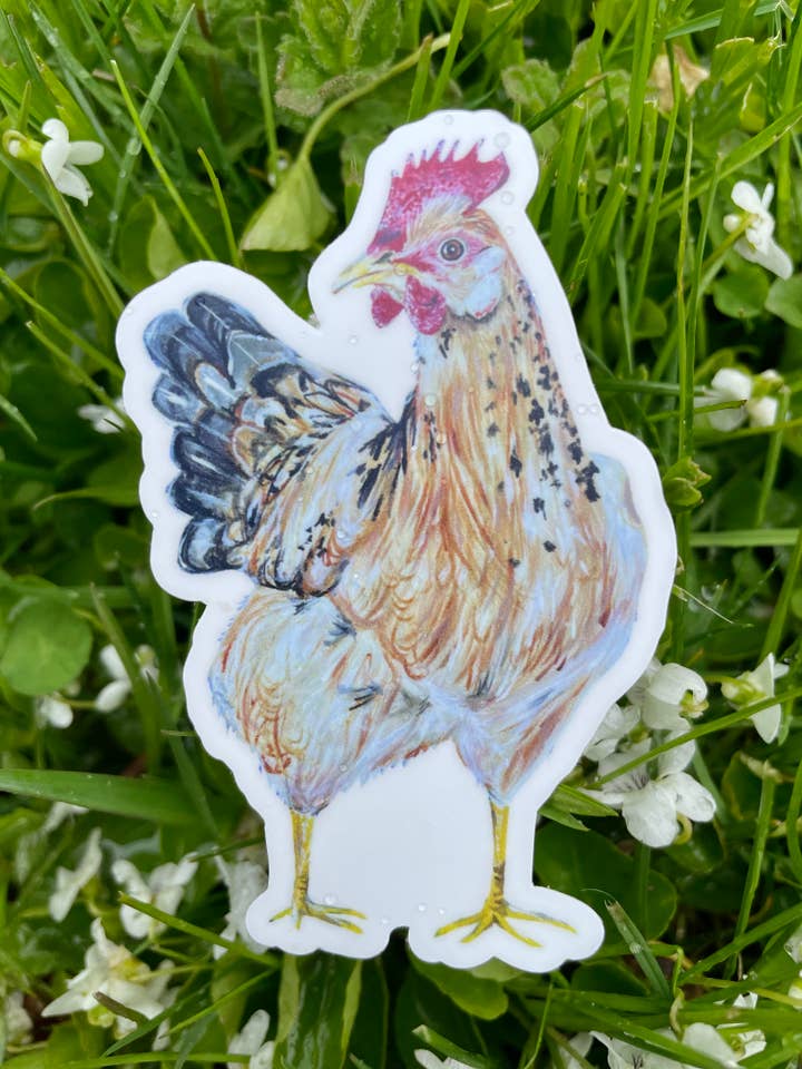 Chicken Sticker for wholesale by Willough Designs