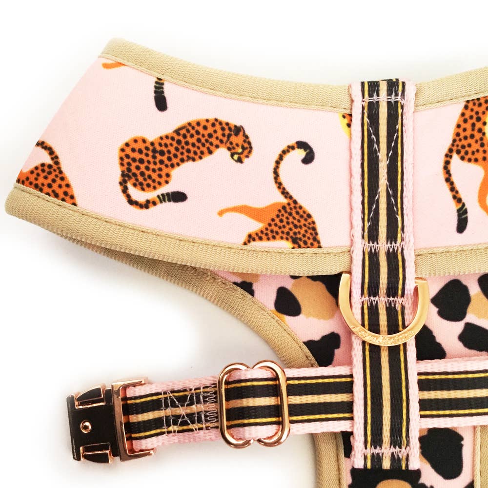 Frenchiestore - Wholesale Pet Harness - Dog - Dog Pet Reversible Health Harness | Wild One7