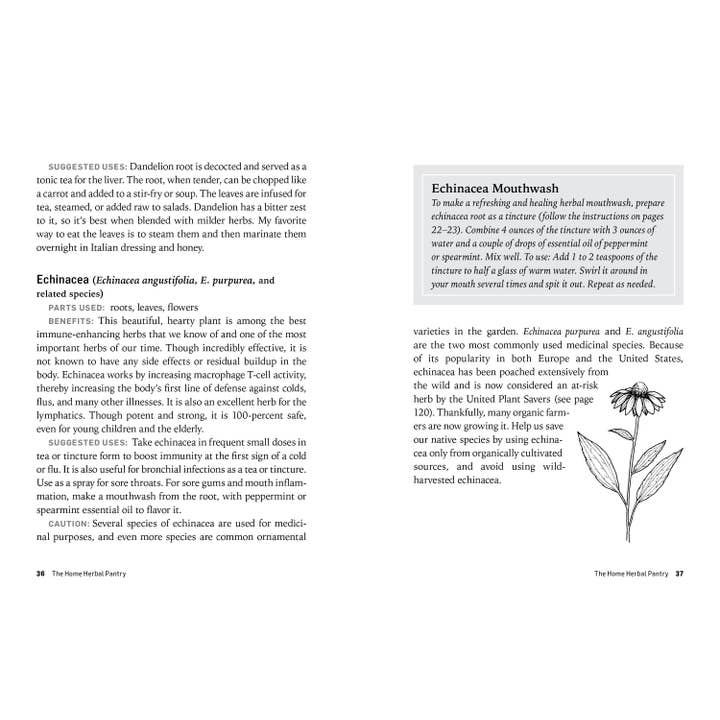 Hachette Book Group - Wholesale Book - Adult - Herbs For Common Ailments
