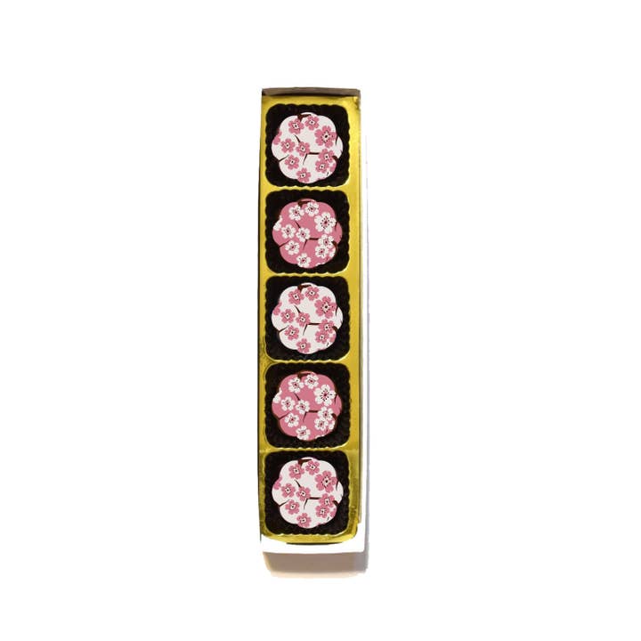 Chouquette - Wholesale Chocolate Box - Cherry Blossom Chocolates - Box of 5