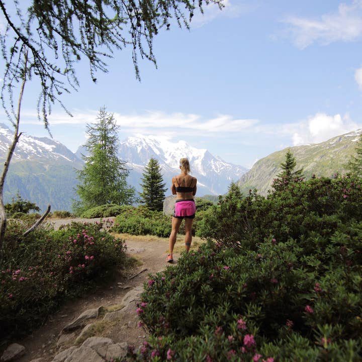 Gawell Förlag - Venta al por mayor Libro decorativo - Paquete Moonvalley Diaries con Cuaderno Every Day4