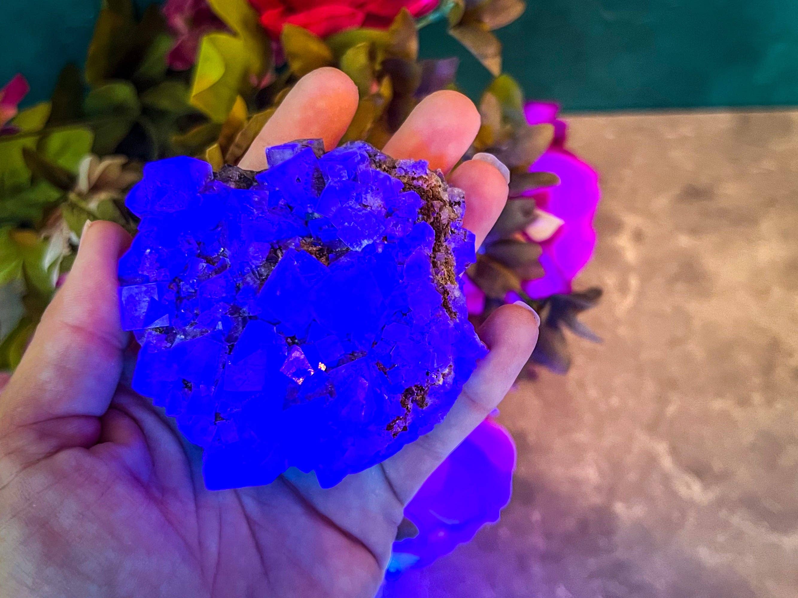 Mandala Gems – wholesale Andlig sten/kristall – Sällsynta lila regnflouritkluster, Lady Annanella-gruvan, STÄNGD gruva!, dagsljusfluorescerande3