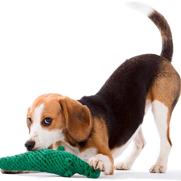 LABONI - Volentis GmbH - Wholesale Pet Chew Toy - Dog - KALLI KROKODIL – The Gentle Giant with Play Value9